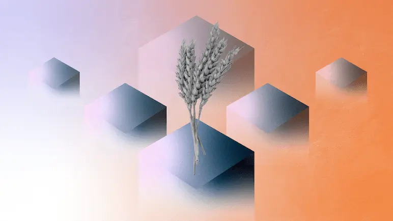 Traceability in the Food System