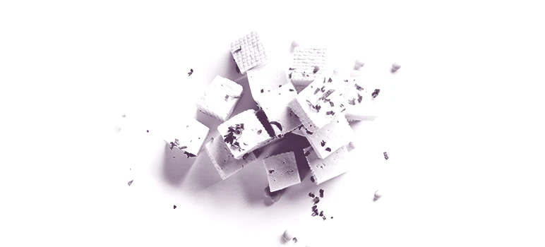 Selection of ingredients used to make cheese