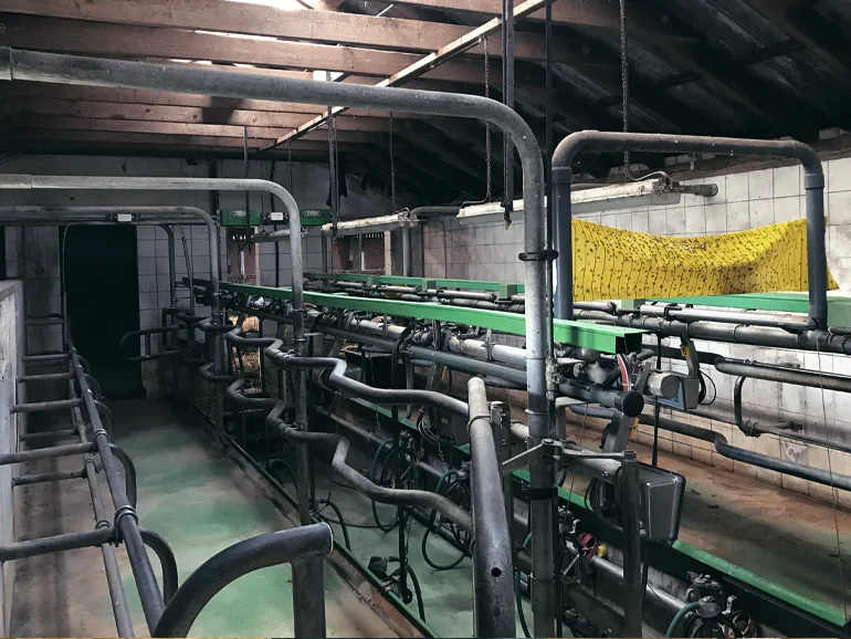 In Zukunft solidarisch - Gemüse-SoLawi statt Milchviehbetrieb