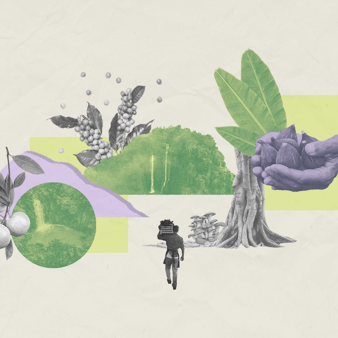 Waldg&auml;rten &ndash; nachhaltige Landwirtschaft