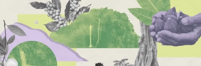 waldgaerten-nachhaltige-landwirtschaft