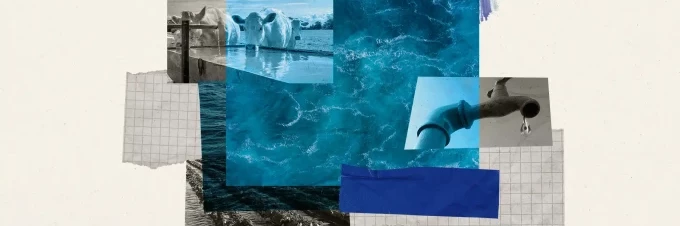 calculating-water-footprint-of-food