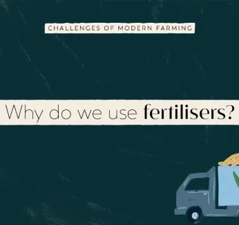 YT_Thumb_Fertilisers.webp
