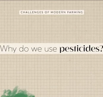 YT_Thumb_Pesticides.webp